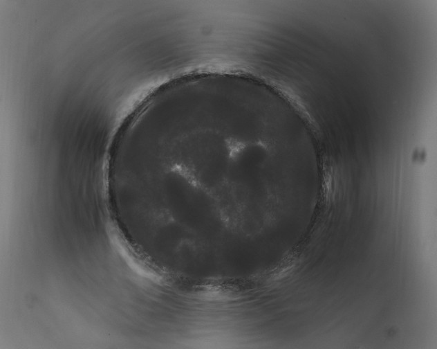 X0000111500678200907281252