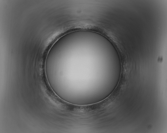 X0000111500679200907281252