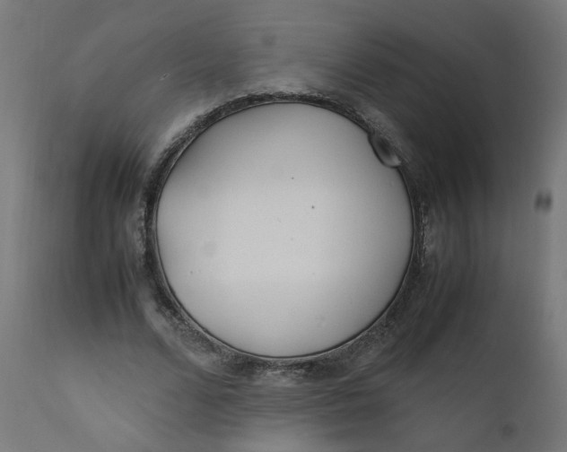 X0000111500680200907281252