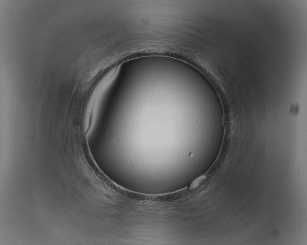 X0000111500681200907281252