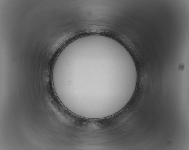 X0000111500683200907281251