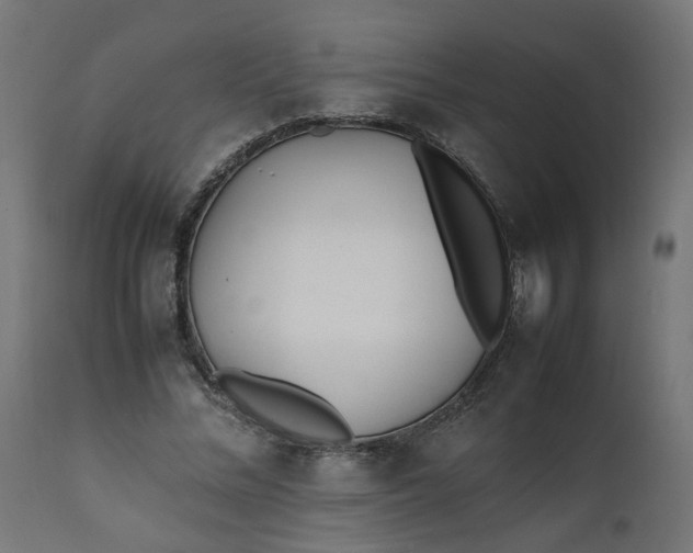 X0000111500684200907281251