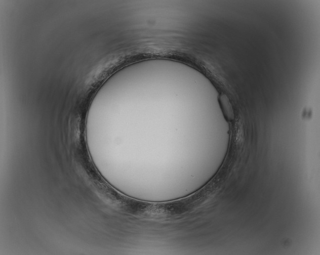 X0000111500685200907281251