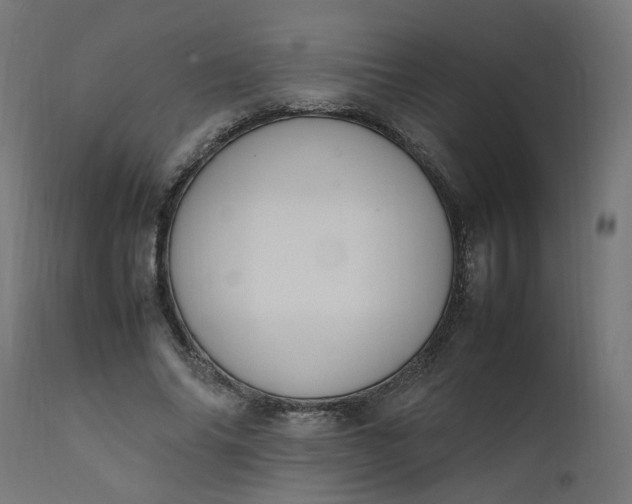 X0000111500686200907281251