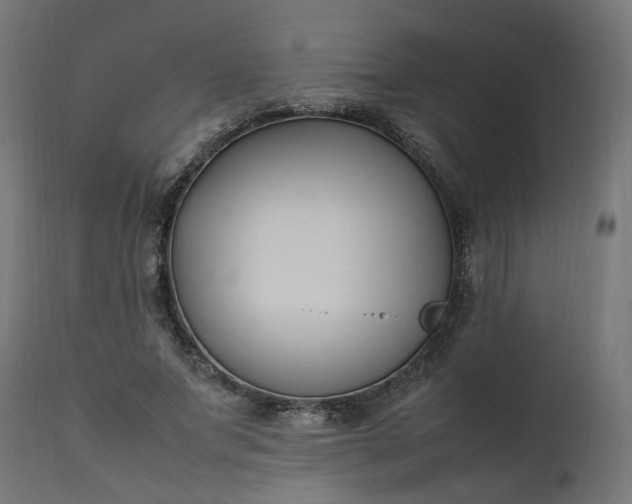 X0000111500687200907281251