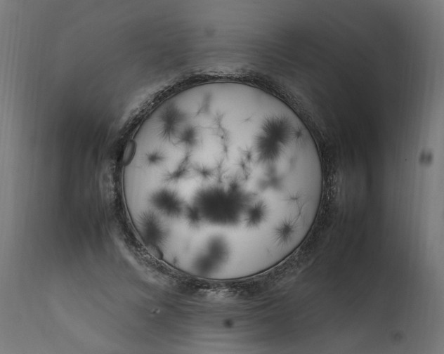 X0000111500688200907281251