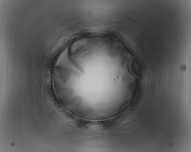 X0000111500689200907281251