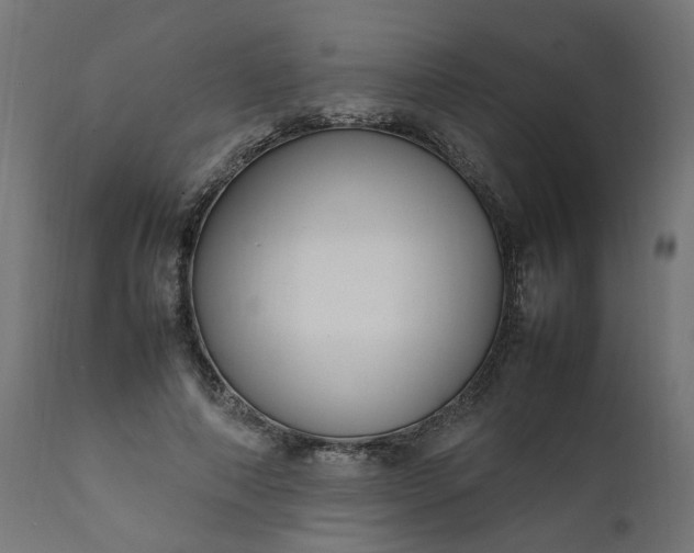 X0000111500690200907281251