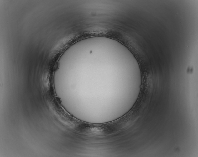 X0000111500692200907281251