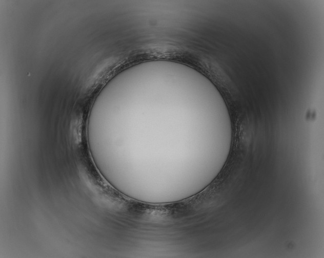 X0000111500694200907281251