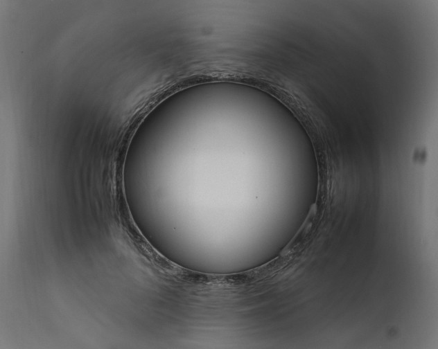 X0000111500696200907281251