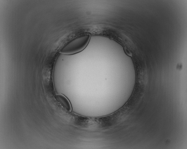 X0000111500697200907281251