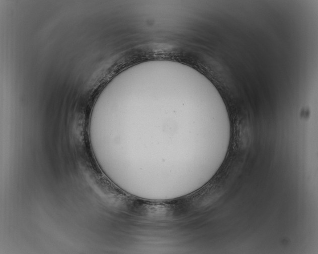 X0000111500698200907281251