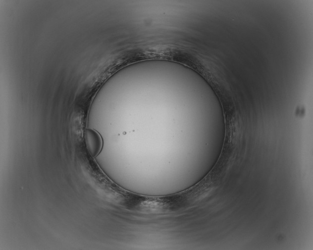 X0000111500699200907281251