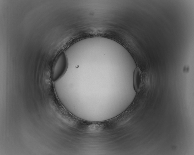 X0000111500700200907281251