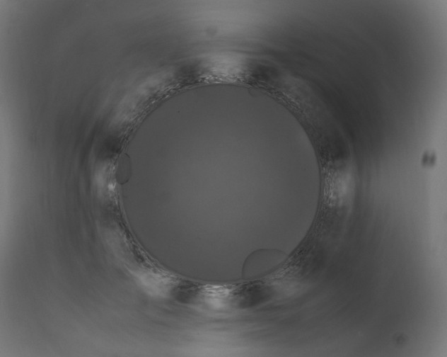 X0000111500701200907281251