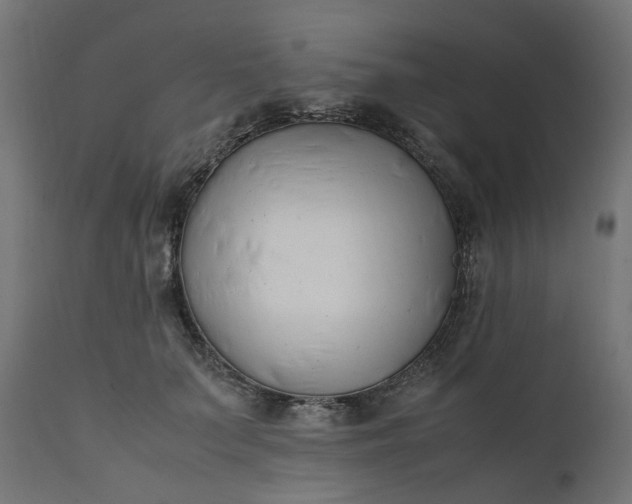 X0000111500703200907281251