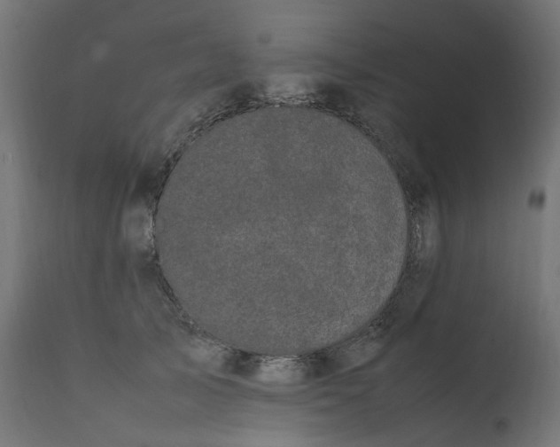 X0000111500705200907281251