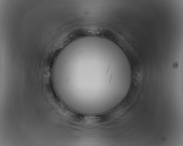 X0000111500707200907281251