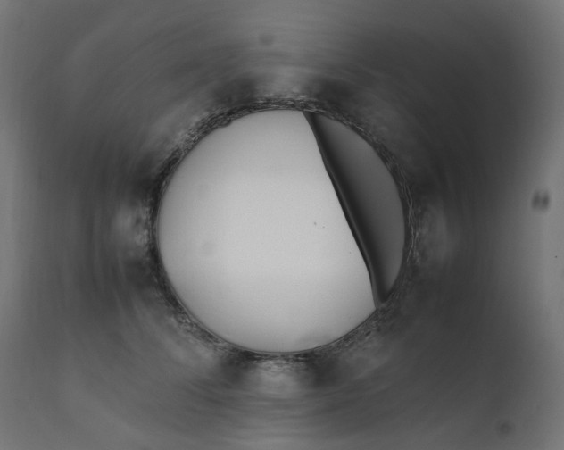 X0000111500708200907281251