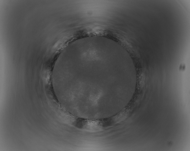 X0000111500709200907281251