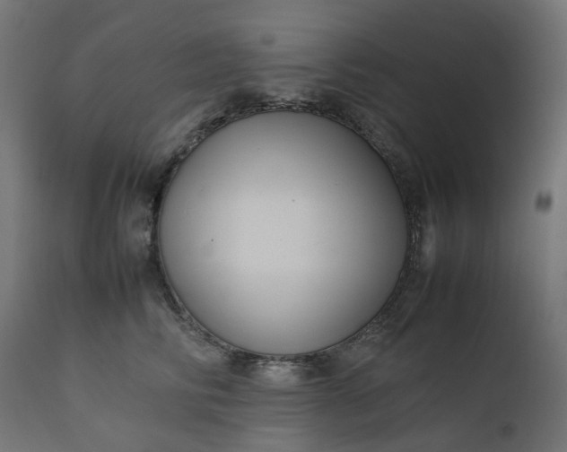 X0000111500710200907281251