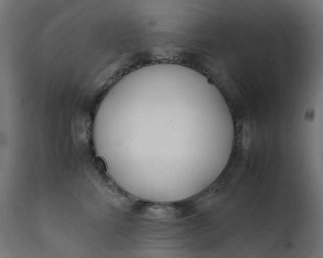 X0000111500712200907281251