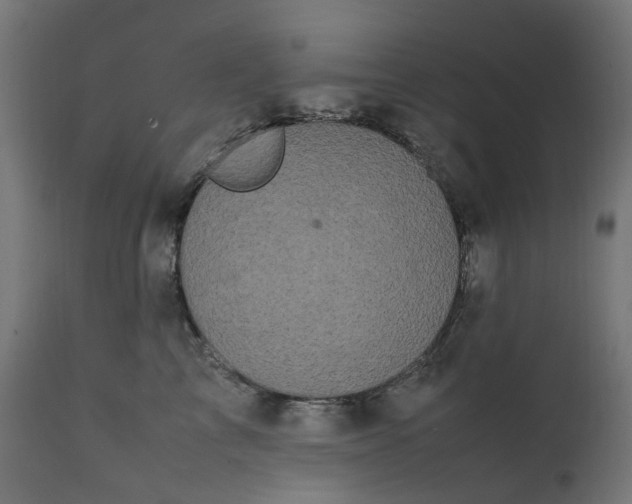 X0000111500713200907281251