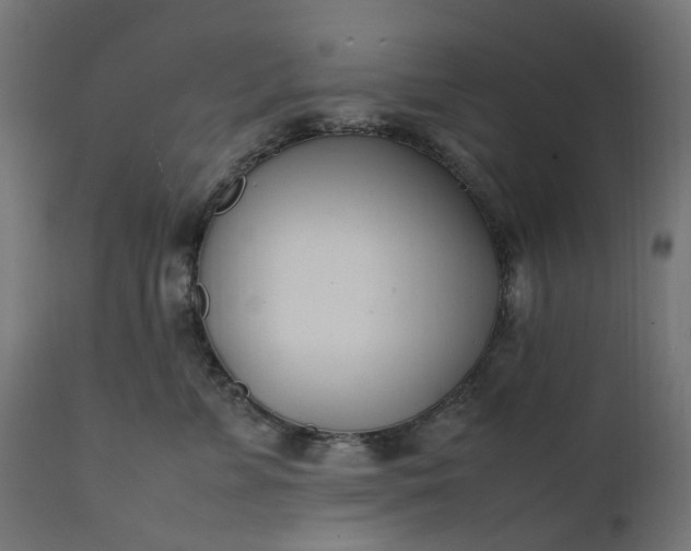 X0000111500715200907281251