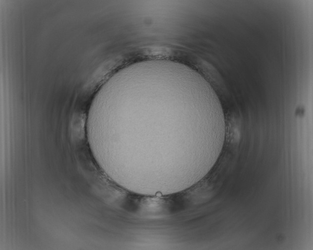 X0000111500717200907281251