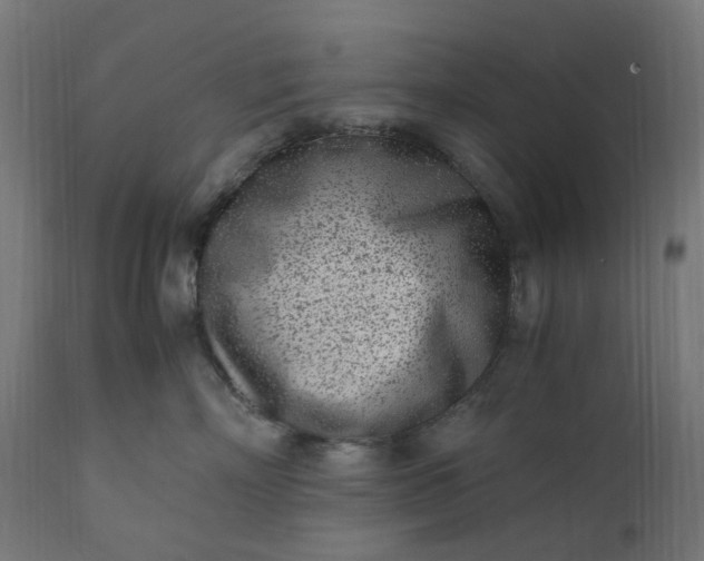 X0000111500718200907281251