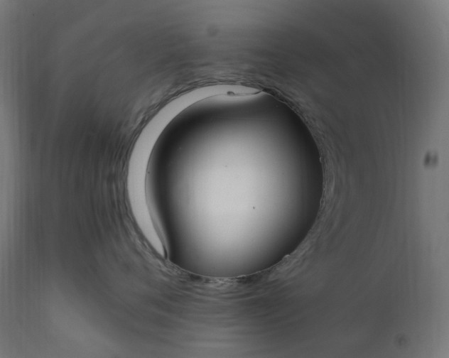 X0000111500720200907281251