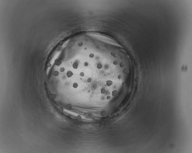 X0000111500721200907281250