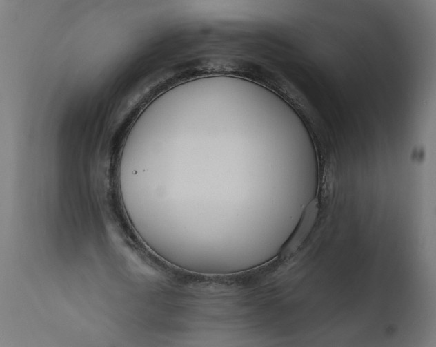 X0000111500722200907281250