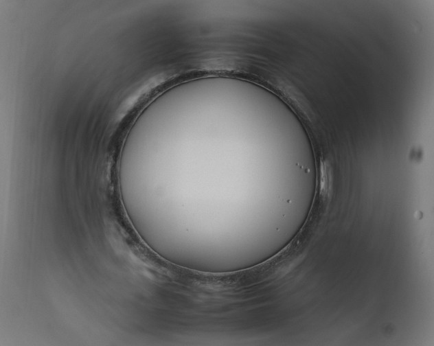 X0000111500723200907281250