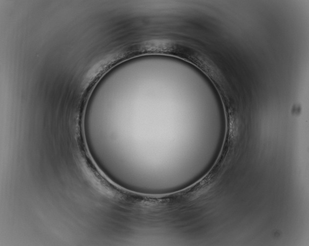 X0000111500725200907281250