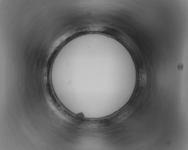 X0000111500726200907281250