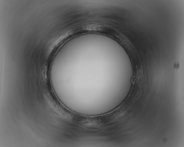 X0000111500727200907281250