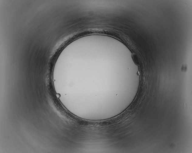 X0000111500728200907281250