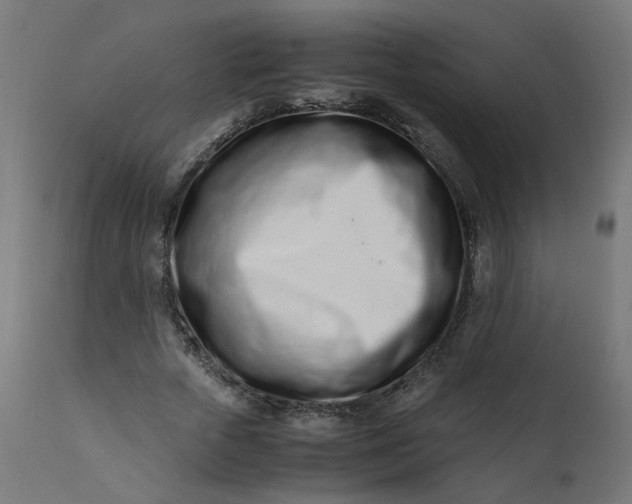 X0000111500729200907281250