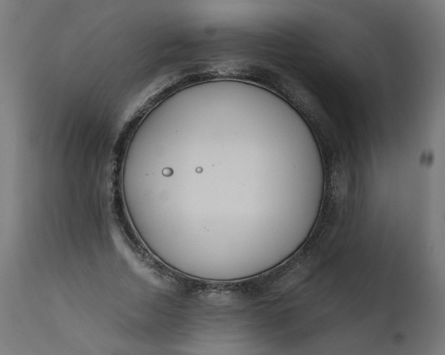 X0000111500730200907281250