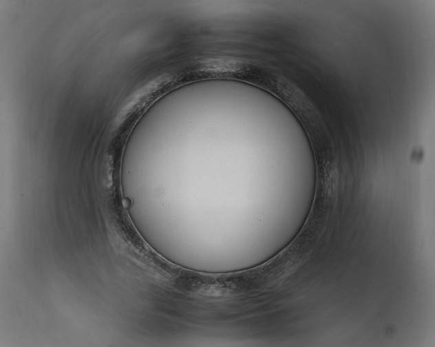 X0000111500731200907281250