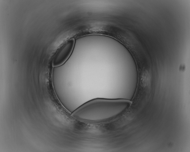 X0000111500732200907281250