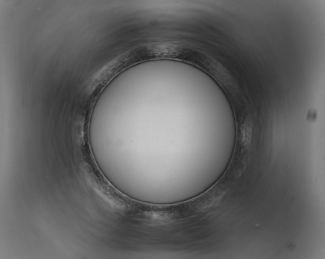 X0000111500733200907281250