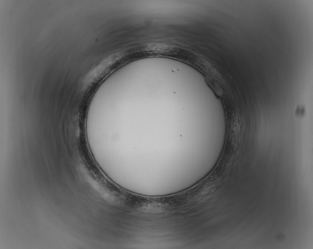 X0000111500734200907281250