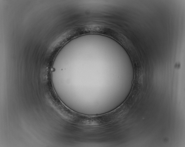 X0000111500735200907281250