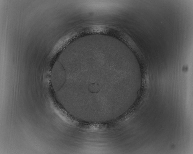 X0000111500736200907281250