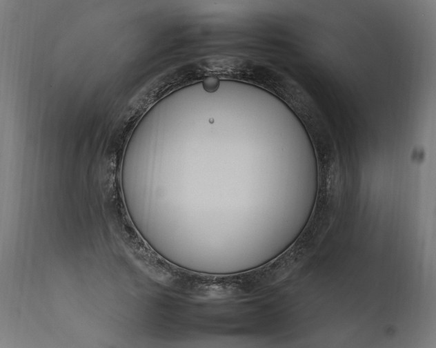 X0000111500737200907281250