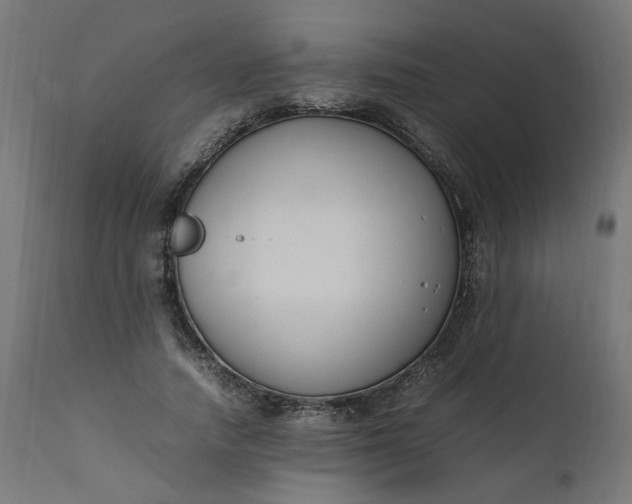 X0000111500738200907281250