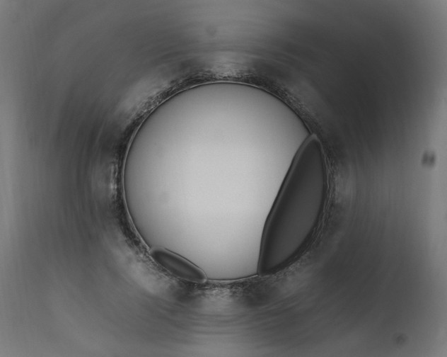 X0000111500740200907281250